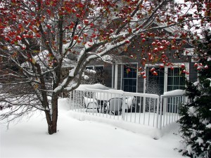 BHYCRwinter01
